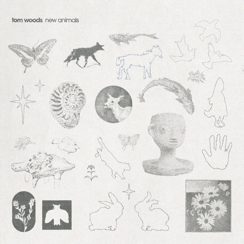 Album Cover design and animation for 'New Animals' by Tom Woods (July 2024)