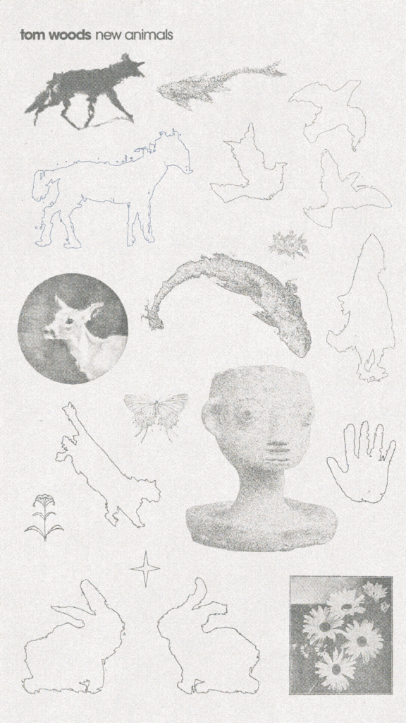 aidankrk-newanimals-anim