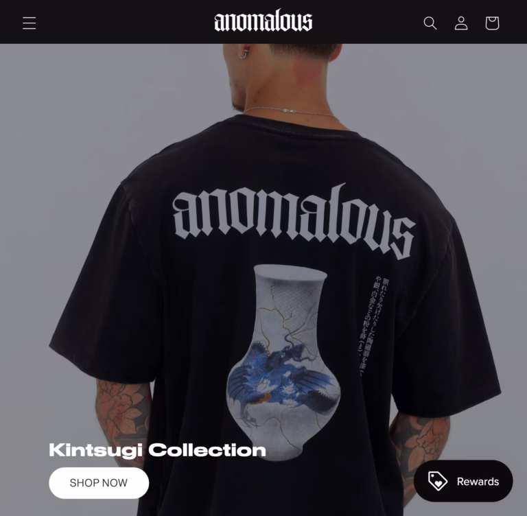 Website design for Anomalous Store